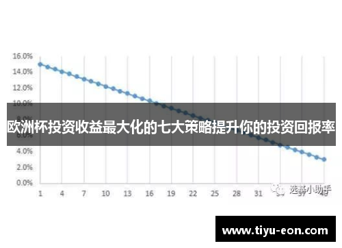 欧洲杯投资收益最大化的七大策略提升你的投资回报率