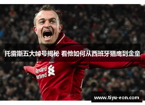 托雷斯五大绰号揭秘 看他如何从西班牙猎鹰到金童 托雷斯五大绰号揭秘 看他如何从西班牙猎鹰到金童