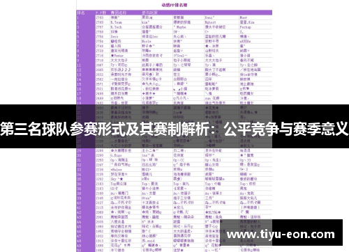 第三名球队参赛形式及其赛制解析：公平竞争与赛季意义