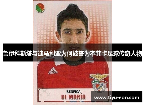 鲁伊科斯塔与迪马利亚为何被誉为本菲卡足球传奇人物